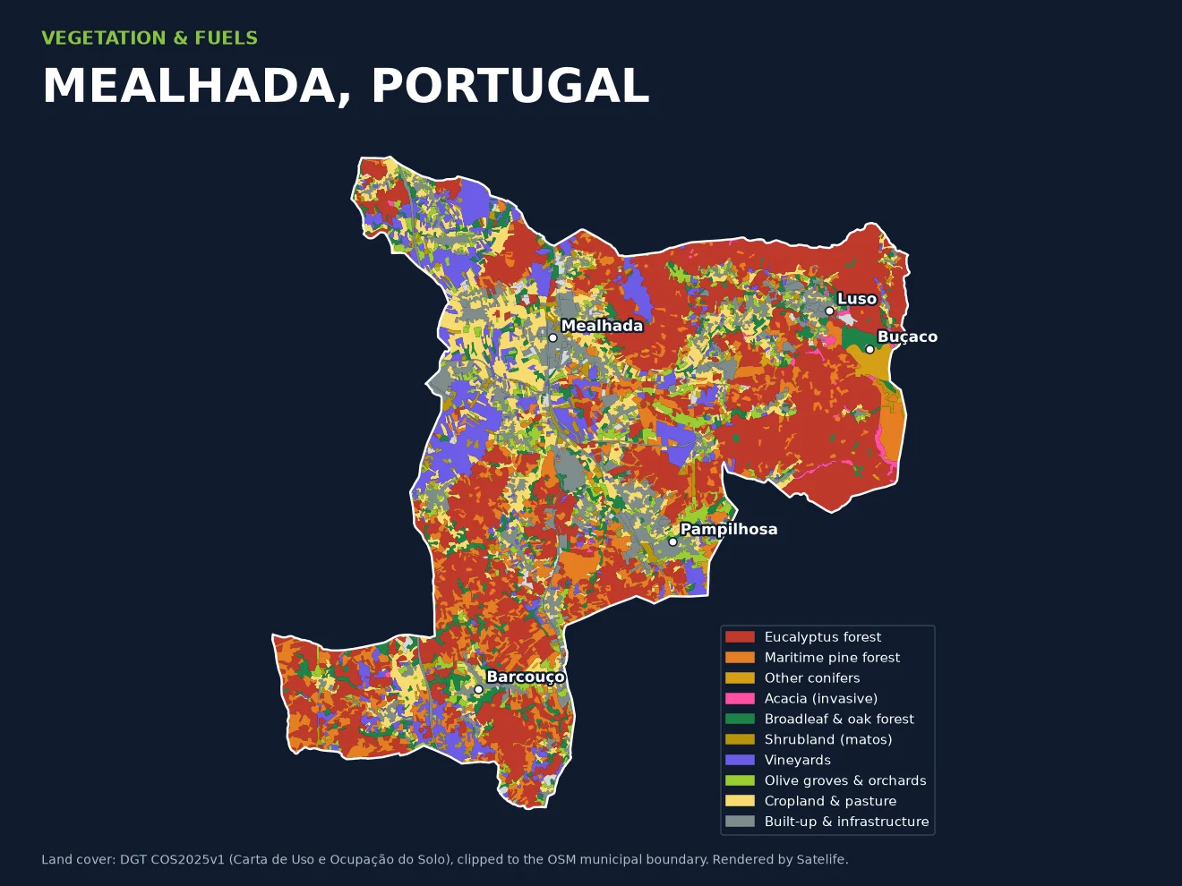 Land-cover map of Mealhada municipality from DGT COS2025: eucalyptus forest in red dominating the east and south, maritime pine in orange, vineyards and cropland around Mealhada town in the west, built-up areas in grey, and the Buçaco forest as a green and gold patch of other conifers and broadleaf next to Luso